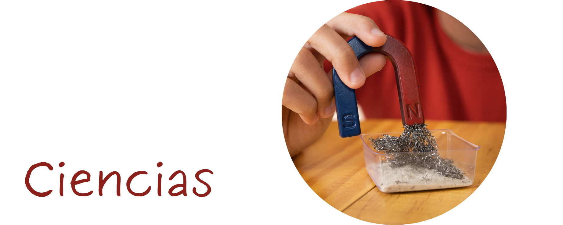 Blog de ciencias